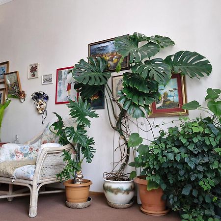 Tamari Guest House Telavi Bagian luar foto
