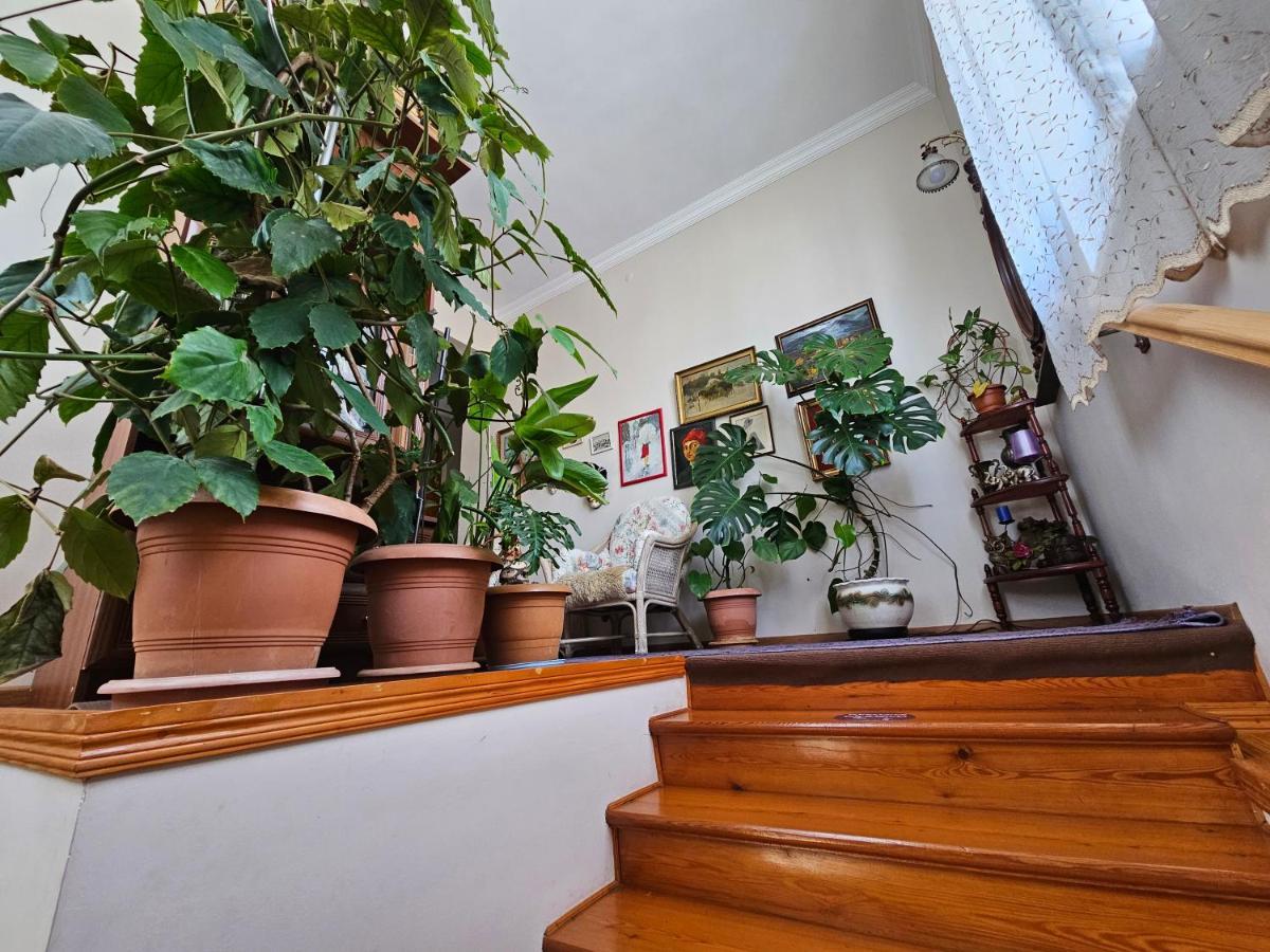 Tamari Guest House Telavi Bagian luar foto