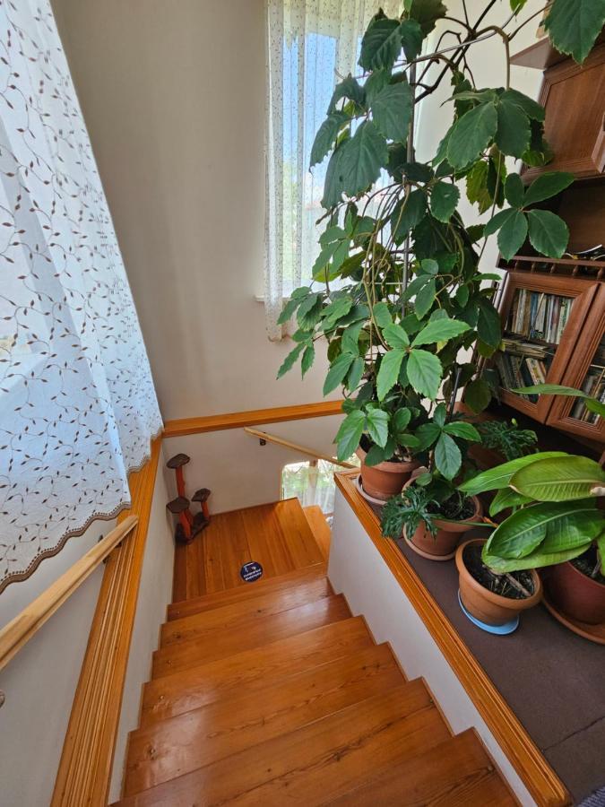 Tamari Guest House Telavi Bagian luar foto
