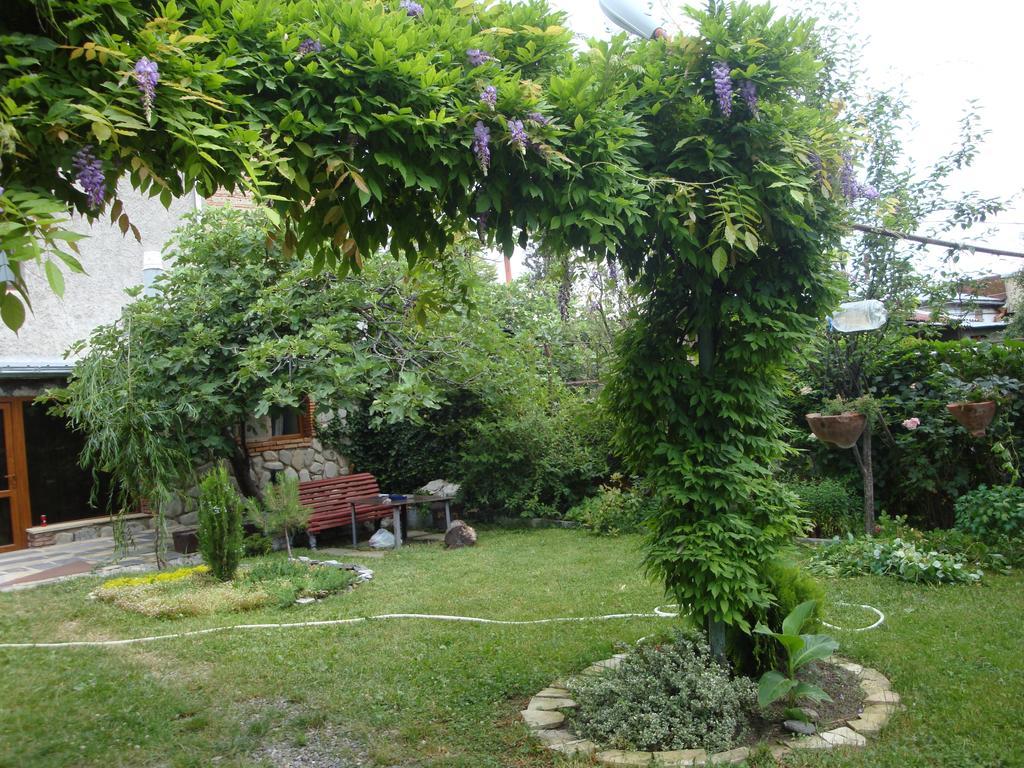 Tamari Guest House Telavi Bagian luar foto