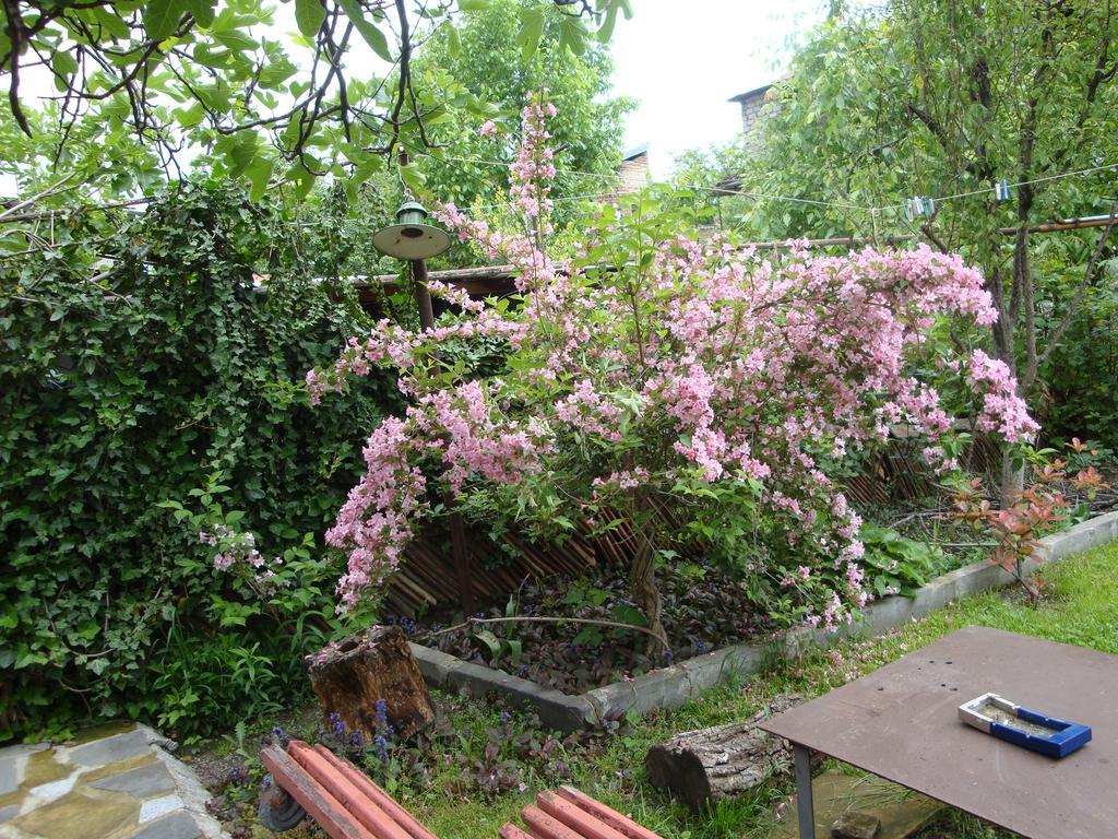 Tamari Guest House Telavi Bagian luar foto