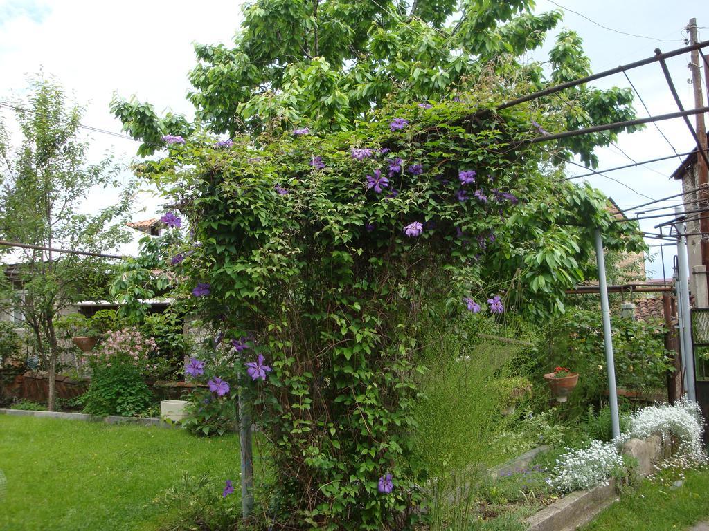 Tamari Guest House Telavi Bagian luar foto
