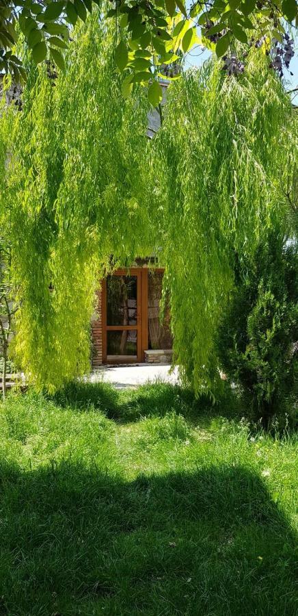 Tamari Guest House Telavi Bagian luar foto